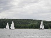 mg_6837