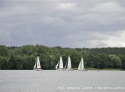 mg_6842