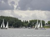 mg_6861