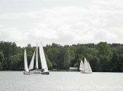 mg_6952