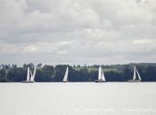 mg_7579